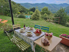 Farmhouse with pool in the hills beautiful views in the truffle area